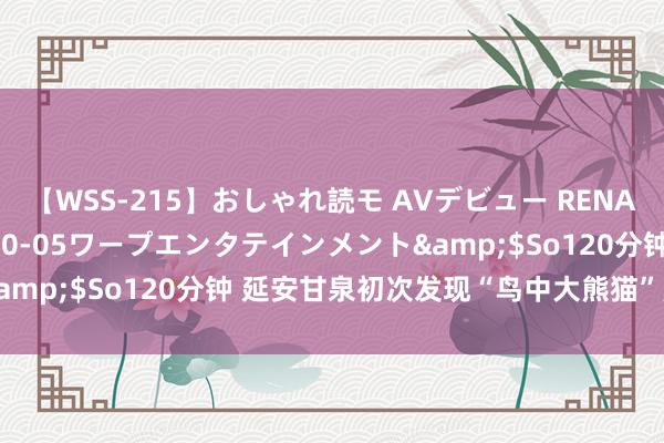 【WSS-215】おしゃれ読モ AVデビュー RENA</a>2012-10-05ワープエンタテインメント&$So120分钟 延安甘泉初次发现“鸟中大熊猫”黑鹳衍生窠巢