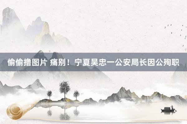 偷偷撸图片 痛别！宁夏吴忠一公安局长因公殉职