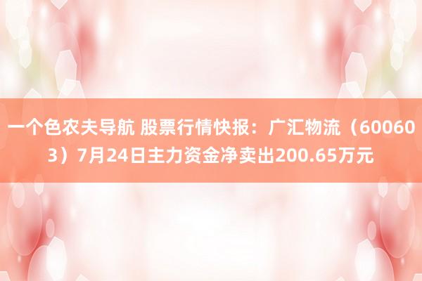 一个色农夫导航 股票行情快报：广汇物流（600603）7月24日主力资金净卖出200.65万元