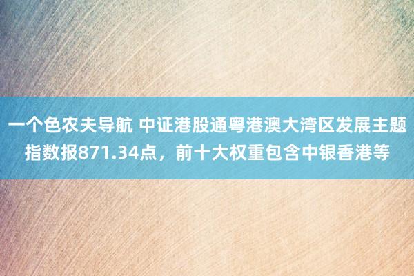 一个色农夫导航 中证港股通粤港澳大湾区发展主题指数报871.34点，前十大权重包含中银香港等