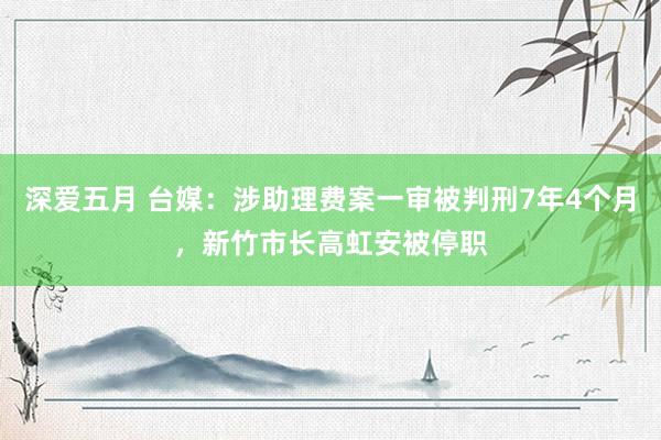 深爱五月 台媒：涉助理费案一审被判刑7年4个月，新竹市长高虹安被停职