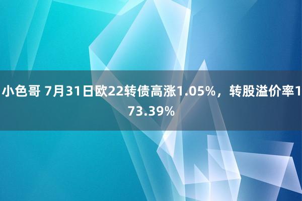 小色哥 7月31日欧22转债高涨1.05%，转股溢价率173.39%