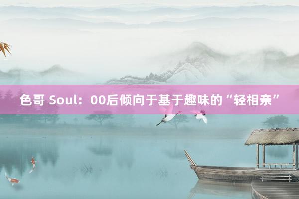 色哥 Soul：00后倾向于基于趣味的“轻相亲”