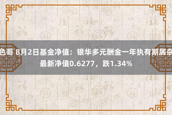 色哥 8月2日基金净值：银华多元酬金一年执有期羼杂最新净值0.6277，跌1.34%