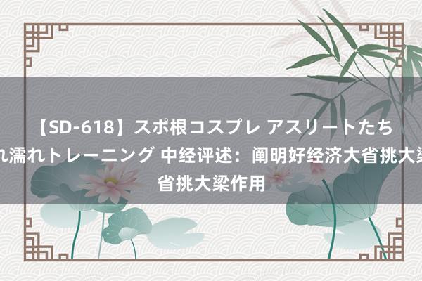 【SD-618】スポ根コスプレ アスリートたちの濡れ濡れトレーニング 中经评述：阐明好经济大省挑大梁作用