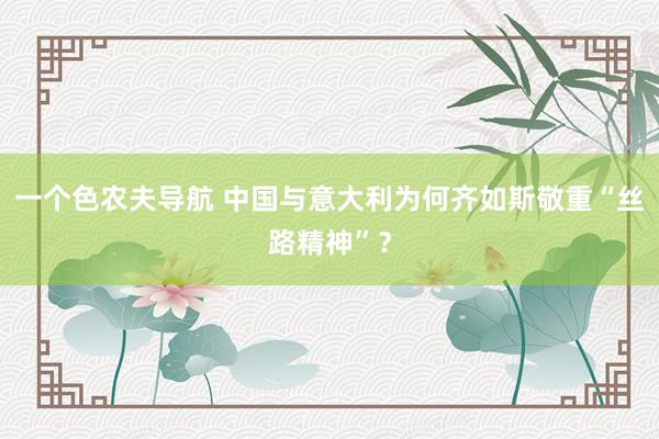 一个色农夫导航 中国与意大利为何齐如斯敬重“丝路精神”？