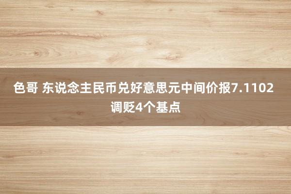 色哥 东说念主民币兑好意思元中间价报7.1102 调贬4个基点