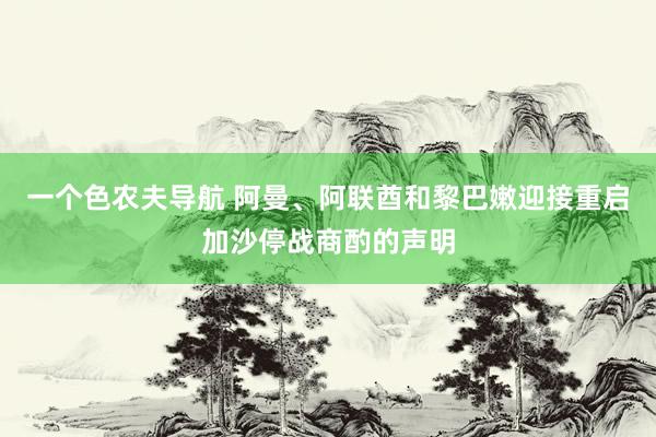 一个色农夫导航 阿曼、阿联酋和黎巴嫩迎接重启加沙停战商酌的声明