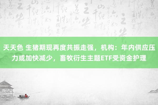 天天色 生猪期现再度共振走强，机构：年内供应压力或加快减少，畜牧衍生主题ETF受资金护理