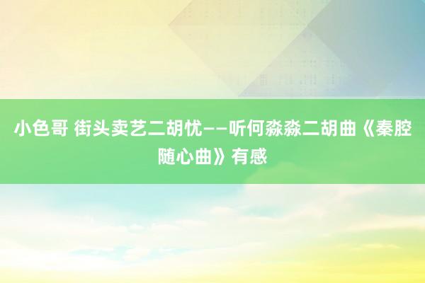 小色哥 街头卖艺二胡忧——听何淼淼二胡曲《秦腔随心曲》有感