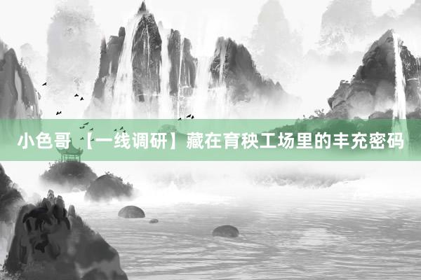 小色哥 【一线调研】藏在育秧工场里的丰充密码