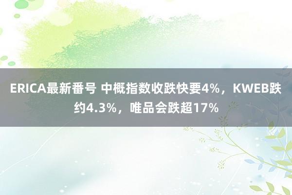 ERICA最新番号 中概指数收跌快要4%，KWEB跌约4.3%，唯品会跌超17%