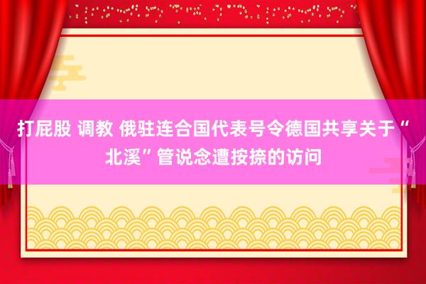 打屁股 调教 俄驻连合国代表号令德国共享关于“北溪”管说念遭按捺的访问