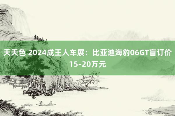 天天色 2024成王人车展：比亚迪海豹06GT盲订价15-20万元