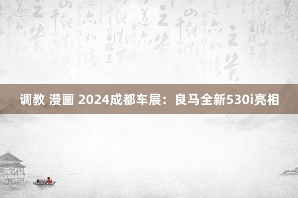 调教 漫画 2024成都车展：良马全新530i亮相