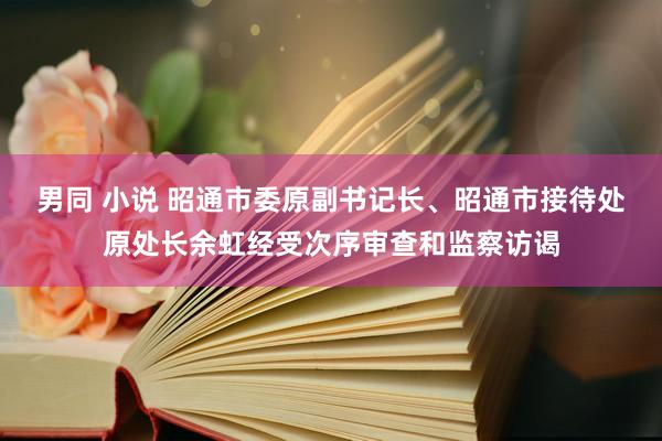 男同 小说 昭通市委原副书记长、昭通市接待处原处长余虹经受次序审查和监察访谒