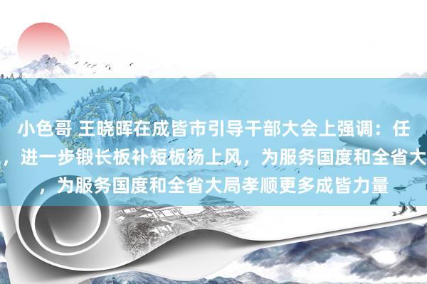 小色哥 王晓晖在成皆市引导干部大会上强调：任重道远拼经济搞成立，进一步锻长板补短板扬上风，为服务国度和全省大局孝顺更多成皆力量