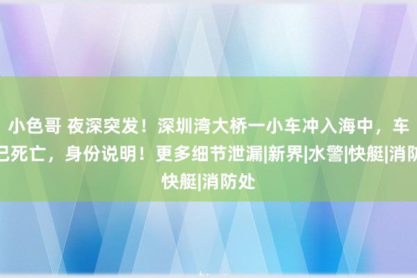 小色哥 夜深突发！深圳湾大桥一小车冲入海中，车主已死亡，身份说明！更多细节泄漏|新界|水警|快艇|消防处