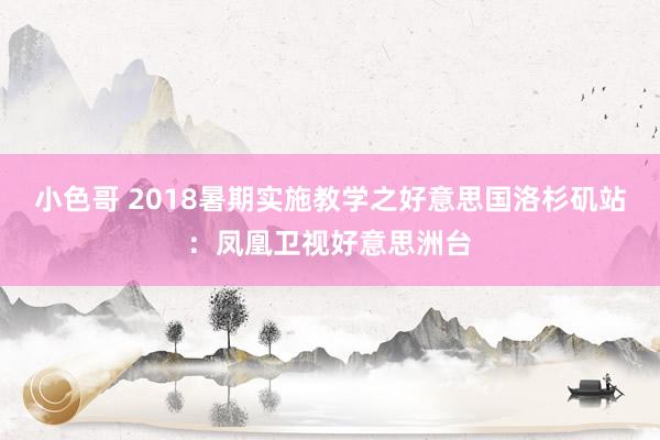 小色哥 2018暑期实施教学之好意思国洛杉矶站：凤凰卫视好意思洲台