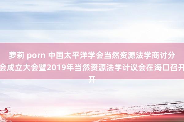 萝莉 porn 中国太平洋学会当然资源法学商讨分会成立大会暨2019年当然资源法学计议会在海口召开